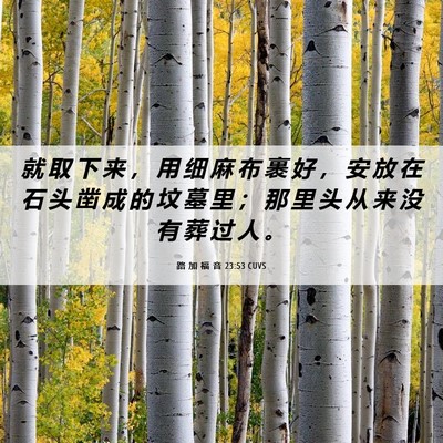 Picture 06 - 路 加 福 音 23:53 CUVS - 就 取 下 来 ， 用 细 麻 布 裹 好 ， - Bible Verse Picture