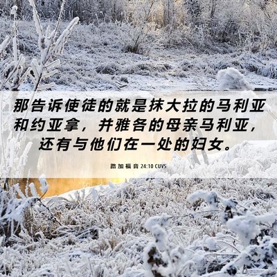 Picture 06 - 路 加 福 音 24:10 CUVS - 那 告 诉 使 徒 的 就 是 抹 大 拉 的 - Bible Verse Picture