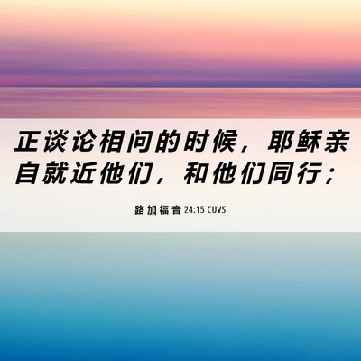 Picture 06 - 路 加 福 音 24:15 CUVS - 正 谈 论 相 问 的 时 候 ， 耶 稣 亲 - Bible Verse Picture