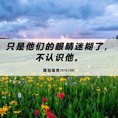 Picture 06 - 路 加 福 音 24:16 CUVS - 只 是 他 们 的 眼 睛 迷 糊 了 ， 不 - Bible Verse Picture