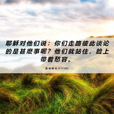 Picture 06 - 路 加 福 音 24:17 CUVS - 耶 稣 对 他 们 说 ： 你 们 走 路 彼 - Bible Verse Picture