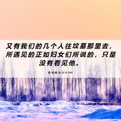 Picture 06 - 路 加 福 音 24:24 CUVS - 又 有 我 们 的 几 个 人 往 坟 墓 那 - Bible Verse Picture