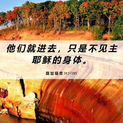 Picture 06 - 路 加 福 音 24:3 CUVS - 他 们 就 进 去 ， 只 是 不 见 主 耶 - Bible Verse Picture