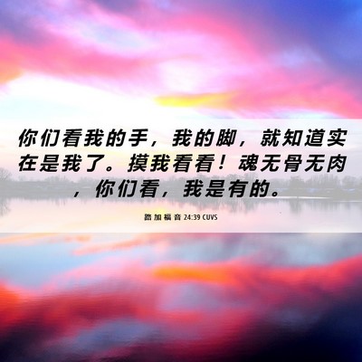 Picture 06 - 路 加 福 音 24:39 CUVS - 你 们 看 我 的 手 ， 我 的 脚 ， 就 - Bible Verse Picture