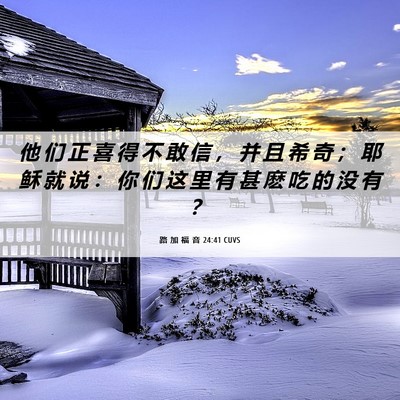 Picture 06 - 路 加 福 音 24:41 CUVS - 他 们 正 喜 得 不 敢 信 ， 并 且 希 - Bible Verse Picture