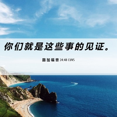 Picture 06 - 路 加 福 音 24:48 CUVS - 你 们 就 是 这 些 事 的 见 证 - Bible Verse Picture