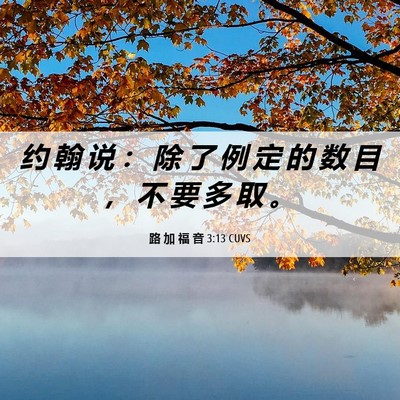 Picture 06 - 路 加 福 音 3:13 CUVS - 约 翰 说 ： 除 了 例 定 的 数 目 ， - Bible Verse Picture