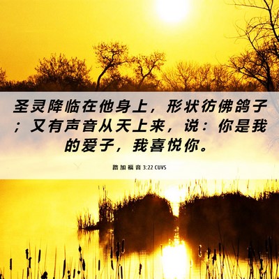 Picture 06 - 路 加 福 音 3:22 CUVS - 圣 灵 降 临 在 他 身 上 ， 形 状 彷 - Bible Verse Picture