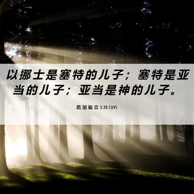 Picture 06 - 路 加 福 音 3:38 CUVS - 以 挪 士 是 塞 特 的 儿 子 ； 塞 特 - Bible Verse Picture