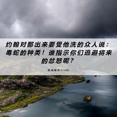 Picture 06 - 路 加 福 音 3:7 CUVS - 约 翰 对 那 出 来 要 受 他 洗 的 众 - Bible Verse Picture