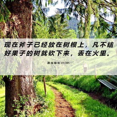 Picture 06 - 路 加 福 音 3:9 CUVS - 现 在 斧 子 已 经 放 在 树 根 上 ， - Bible Verse Picture