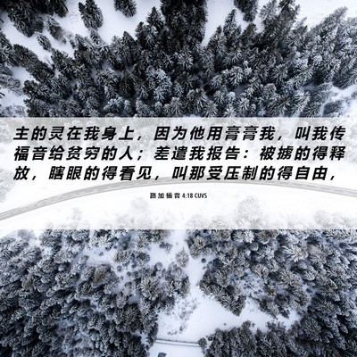 Picture 06 - 路 加 福 音 4:18 CUVS - 主 的 灵 在 我 身 上 ， 因 为 他 用 - Bible Verse Picture