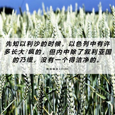 Picture 06 - 路 加 福 音 4:27 CUVS - 先 知 以 利 沙 的 时 候 ， 以 色 列 - Bible Verse Picture