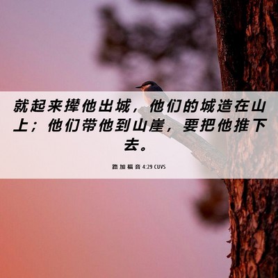 Picture 06 - 路 加 福 音 4:29 CUVS - 就 起 来 撵 他 出 城 ， 他 们 的 城 - Bible Verse Picture