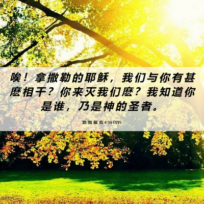 Picture 06 - 路 加 福 音 4:34 CUVS - 唉 ！ 拿 撒 勒 的 耶 稣 ， 我 们 与 - Bible Verse Picture