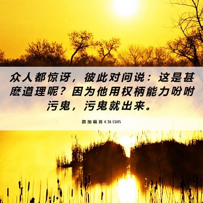 Picture 06 - 路 加 福 音 4:36 CUVS - 众 人 都 惊 讶 ， 彼 此 对 问 说 ： - Bible Verse Picture