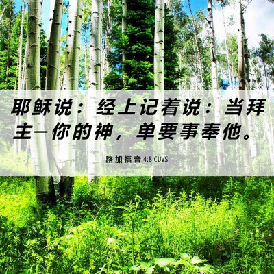 Picture 06 - 路 加 福 音 4:8 CUVS - 耶 稣 说 ： 经 上 记 着 说 ： 当 拜 - Bible Verse Picture