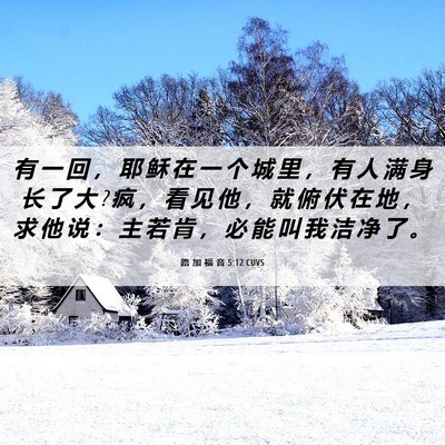 Picture 06 - 路 加 福 音 5:12 CUVS - 有 一 回 ， 耶 稣 在 一 个 城 里 ， - Bible Verse Picture