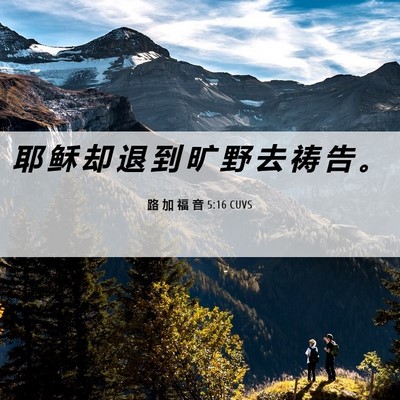Picture 06 - 路 加 福 音 5:16 CUVS - 耶 稣 却 退 到 旷 野 去 祷 告 - Bible Verse Picture