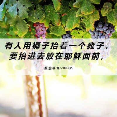 Picture 06 - 路 加 福 音 5:18 CUVS - 有 人 用 褥 子 抬 着 一 个 瘫 子 ， - Bible Verse Picture