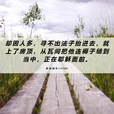Picture 06 - 路 加 福 音 5:19 CUVS - 却 因 人 多 ， 寻 不 出 法 子 抬 进 - Bible Verse Picture