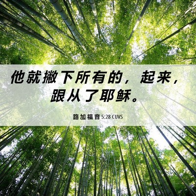 Picture 06 - 路 加 福 音 5:28 CUVS - 他 就 撇 下 所 有 的 ， 起 来 ， 跟 - Bible Verse Picture