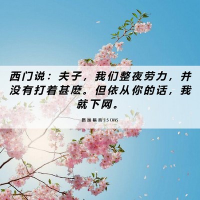Picture 06 - 路 加 福 音 5:5 CUVS - 西 门 说 ： 夫 子 ， 我 们 整 夜 劳 - Bible Verse Picture