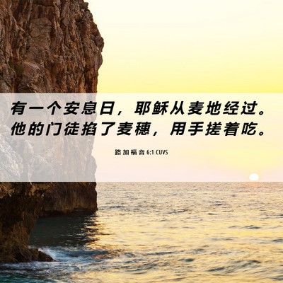 Picture 06 - 路 加 福 音 6:1 CUVS - 有 一 个 安 息 日 ， 耶 稣 从 麦 地 - Bible Verse Picture