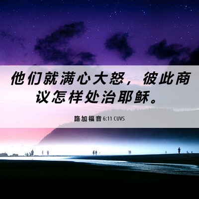 Picture 06 - 路 加 福 音 6:11 CUVS - 他 们 就 满 心 大 怒 ， 彼 此 商 议 - Bible Verse Picture