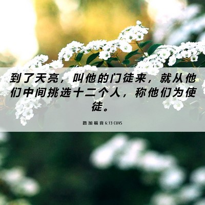 Picture 06 - 路 加 福 音 6:13 CUVS - 到 了 天 亮 ， 叫 他 的 门 徒 来 ， - Bible Verse Picture
