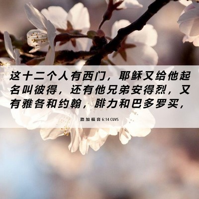 Picture 06 - 路 加 福 音 6:14 CUVS - 这 十 二 个 人 有 西 门 ， 耶 稣 又 - Bible Verse Picture