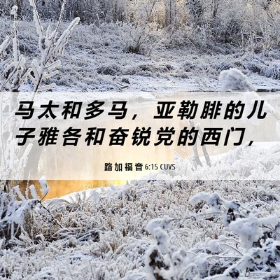 Picture 06 - 路 加 福 音 6:15 CUVS - 马 太 和 多 马 ， 亚 勒 腓 的 儿 子 - Bible Verse Picture