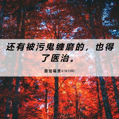 Picture 06 - 路 加 福 音 6:18 CUVS - 还 有 被 污 鬼 缠 磨 的 ， 也 得 了 - Bible Verse Picture