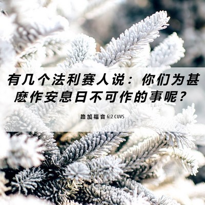 Picture 06 - 路 加 福 音 6:2 CUVS - 有 几 个 法 利 赛 人 说 ： 你 们 为 - Bible Verse Picture