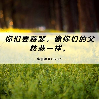 Picture 06 - 路 加 福 音 6:36 CUVS - 你 们 要 慈 悲 ， 像 你 们 的 父 慈 - Bible Verse Picture