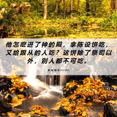 Picture 06 - 路 加 福 音 6:4 CUVS - 他 怎 麽 进 了 神 的 殿 ， 拿 陈 设 - Bible Verse Picture