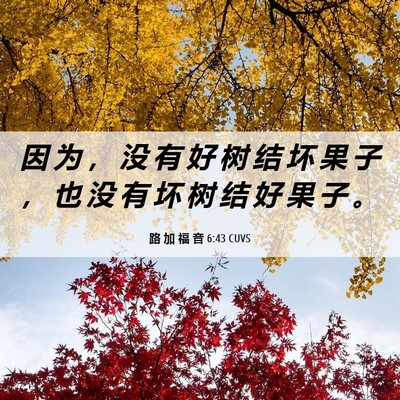 Picture 06 - 路 加 福 音 6:43 CUVS - 因 为 ， 没 有 好 树 结 坏 果 子 ， - Bible Verse Picture