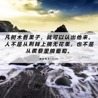 Picture 06 - 路 加 福 音 6:44 CUVS - 凡 树 木 看 果 子 ， 就 可 以 认 出 - Bible Verse Picture