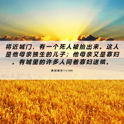 Picture 06 - 路 加 福 音 7:12 CUVS - 将 近 城 门 ， 有 一 个 死 人 被 抬 - Bible Verse Picture