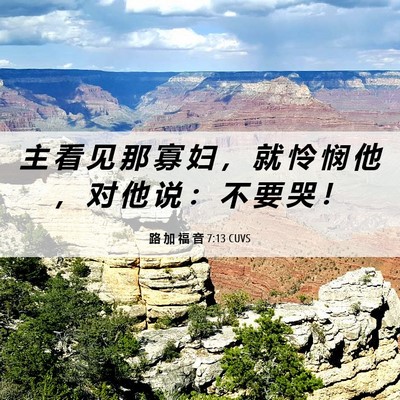 Picture 06 - 路 加 福 音 7:13 CUVS - 主 看 见 那 寡 妇 ， 就 怜 悯 他 ， - Bible Verse Picture