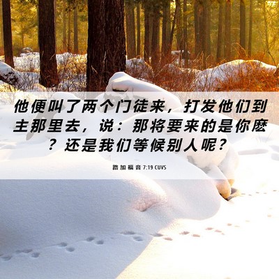 Picture 06 - 路 加 福 音 7:19 CUVS - 他 便 叫 了 两 个 门 徒 来 ， 打 发 - Bible Verse Picture