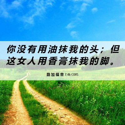 Picture 06 - 路 加 福 音 7:46 CUVS - 你 没 有 用 油 抹 我 的 头 ； 但 这 - Bible Verse Picture