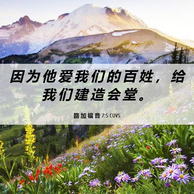 Picture 06 - 路 加 福 音 7:5 CUVS - 因 为 他 爱 我 们 的 百 姓 ， 给 我 - Bible Verse Picture