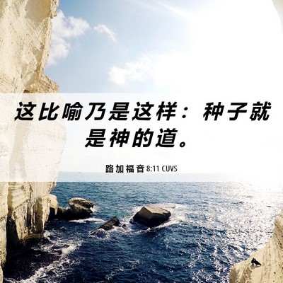 Picture 06 - 路 加 福 音 8:11 CUVS - 这 比 喻 乃 是 这 样 ： 种 子 就 是 - Bible Verse Picture