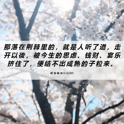 Picture 06 - 路 加 福 音 8:14 CUVS - 那 落 在 荆 棘 里 的 ， 就 是 人 听 - Bible Verse Picture