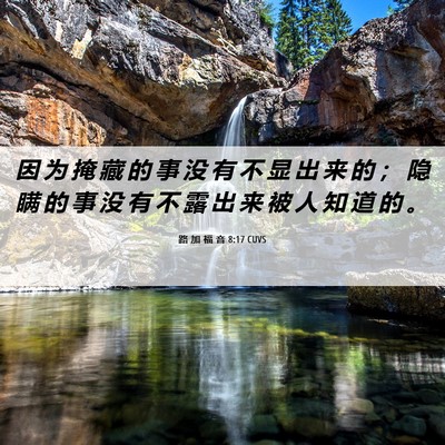 Picture 06 - 路 加 福 音 8:17 CUVS - 因 为 掩 藏 的 事 没 有 不 显 出 来 - Bible Verse Picture