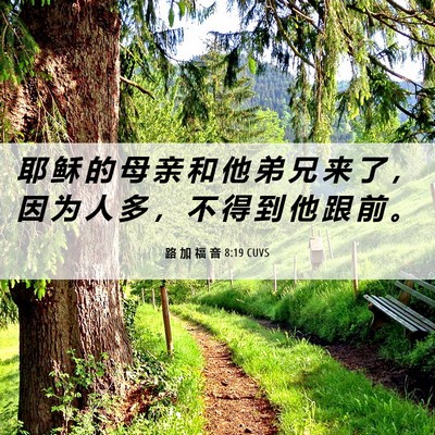 Picture 06 - 路 加 福 音 8:19 CUVS - 耶 稣 的 母 亲 和 他 弟 兄 来 了 ， - Bible Verse Picture