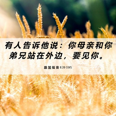 Picture 06 - 路 加 福 音 8:20 CUVS - 有 人 告 诉 他 说 ： 你 母 亲 和 你 - Bible Verse Picture