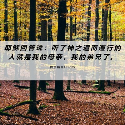 Picture 06 - 路 加 福 音 8:21 CUVS - 耶 稣 回 答 说 ： 听 了 神 之 道 而 - Bible Verse Picture