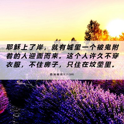 Picture 06 - 路 加 福 音 8:27 CUVS - 耶 稣 上 了 岸 ， 就 有 城 里 一 个 - Bible Verse Picture
